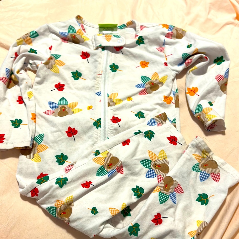 Classic Whimsy Harveat Turkey Onesie 24m